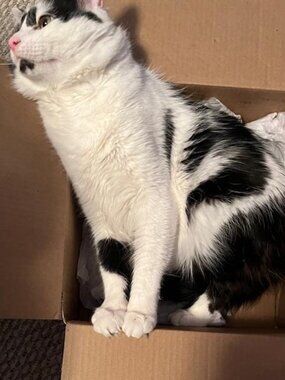 Hi! I'm Inky..Do you see my ❤?  Put a ❤ on the stuff you love.